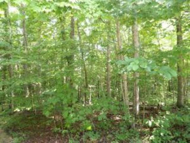 Land for sale in Monticello, Kentucky