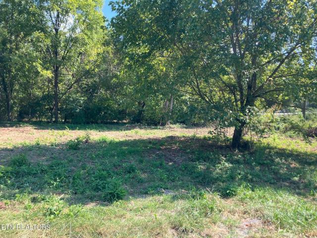 Land for sale in Tennessee