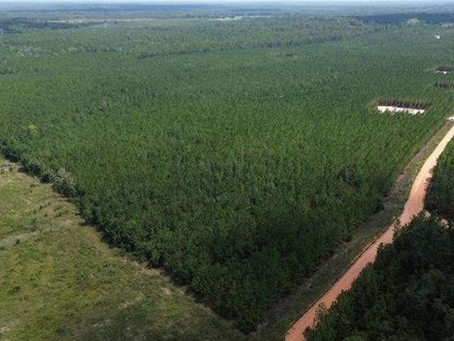 Land for sale in Baxley, Georgia