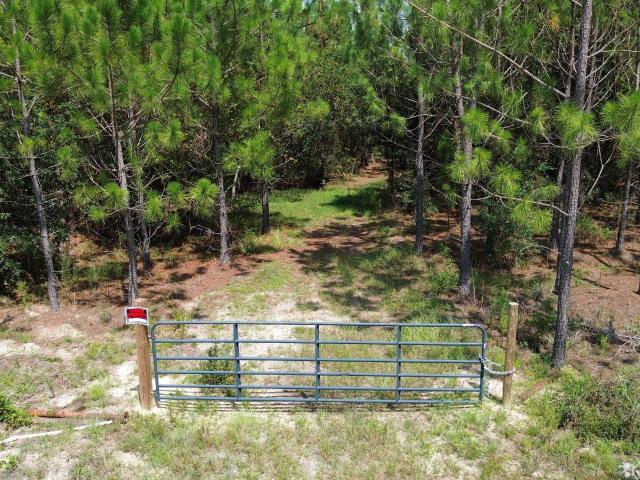 Land for sale in Baxley, Georgia