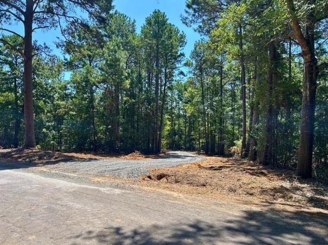 Land for sale in Diana, Texas
