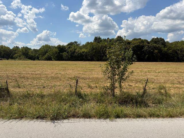 Land for sale in Richardsville, Bowling Green