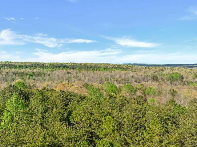 Land for sale in Mentone, Alabama