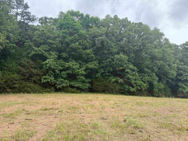 Land for sale in Ark