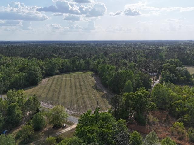Land for sale in Baxley, Georgia