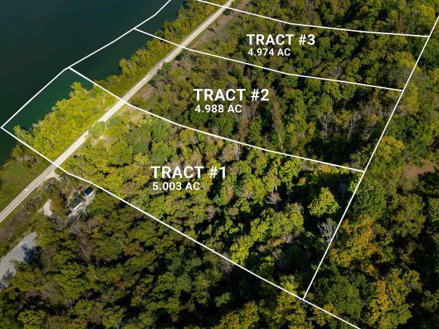 Land for sale in Patriot, Indiana