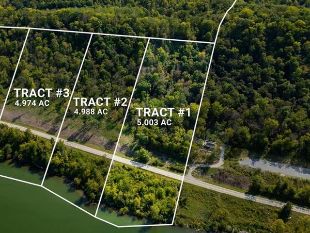 Land for sale in Patriot, Indiana