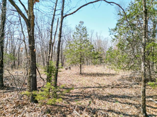 Land for sale in Higbee, Missouri