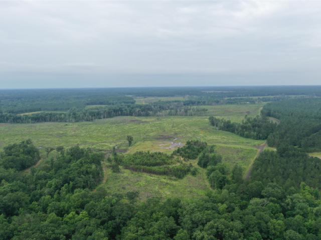 Land for sale in Harrison, Texas