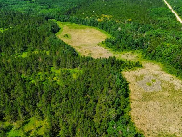 Land for sale in Wadena, Minnesota