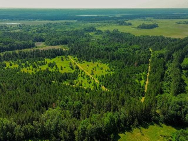 Land for sale in Wadena, Minnesota