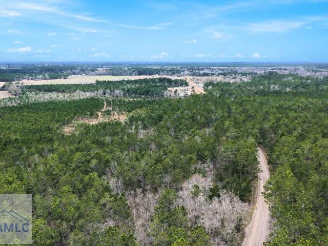 Land for sale in Odum, Georgia