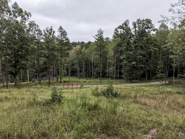 Land for sale in Clay City, Powell County
