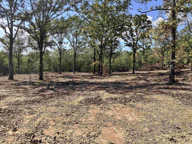 Land for sale in Austin, Lonoke County