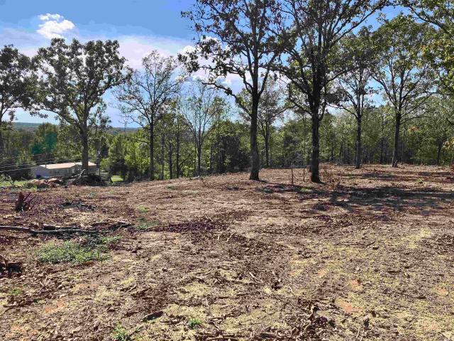 Land for sale in Austin, Lonoke County
