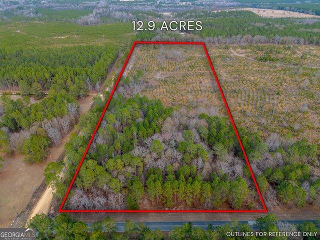 Land for sale in Dodge, Georgia