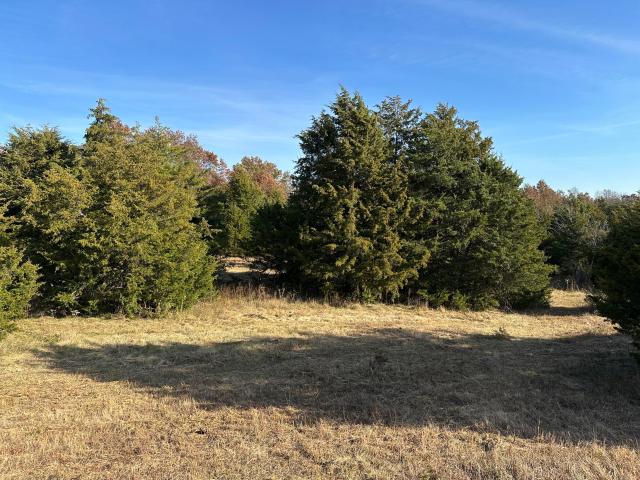 Land for sale in Mexico, Missouri