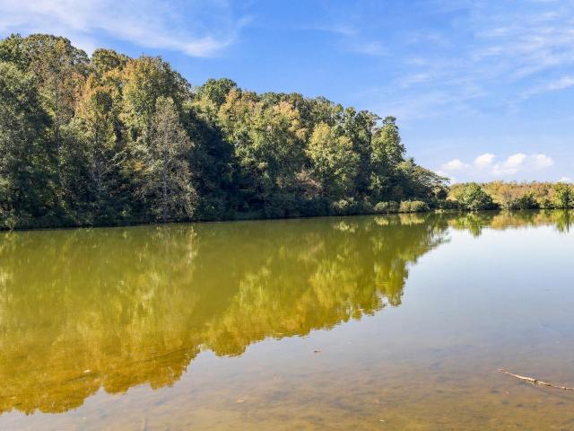 Land for sale in Five Forks, Liberty