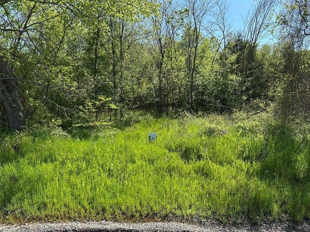 Land for sale in Fannin, Texas