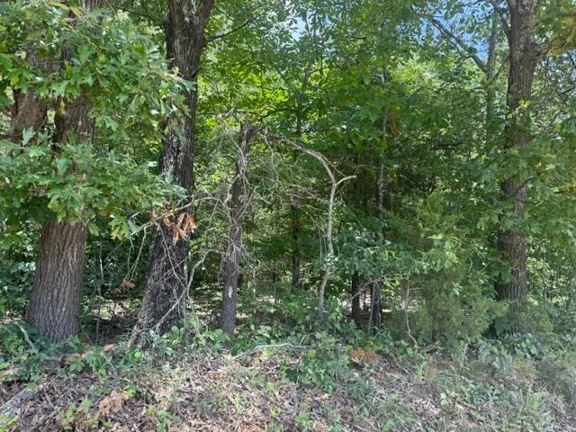 Land for sale in Ark