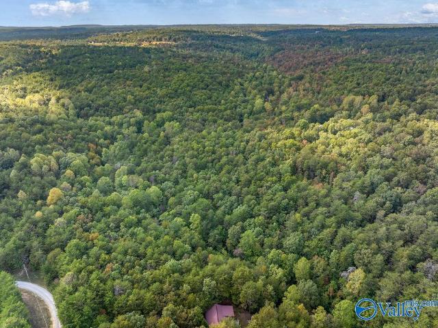 Land for sale in Mentone, DeKalb County