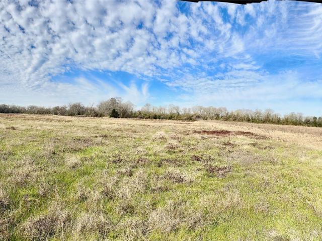 Land for sale in Lovelady, Texas