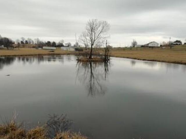 Land for sale in Science Hill, Kentucky