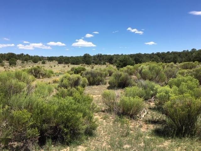 Land for sale in Catron, New Mexico