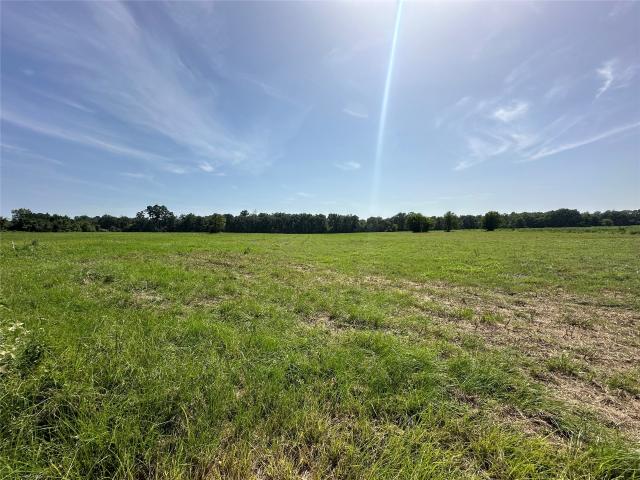Land for sale in Lovelady, Texas