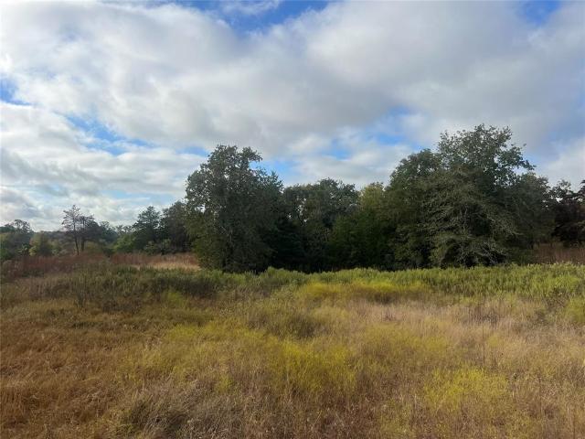 Land for sale in Lexington, Texas