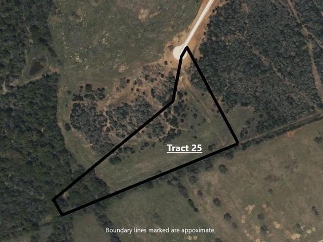 Land for sale in Lexington, Lee County