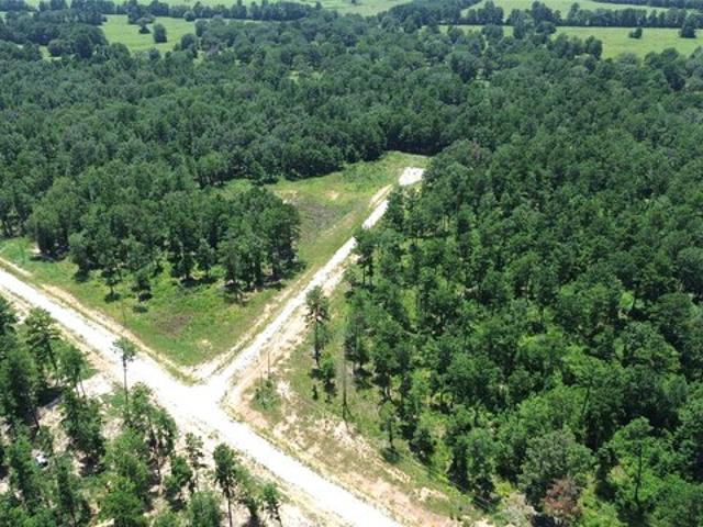 Land for sale in Kennard, Texas