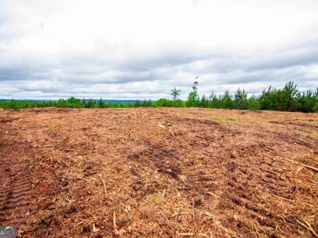 Land for sale in Shiloh, Georgia