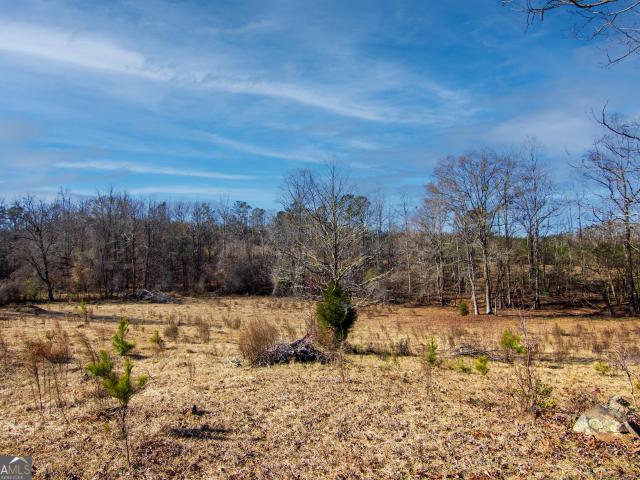 Land for sale in Talbot, Georgia