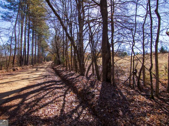 Land for sale in Talbot, Georgia