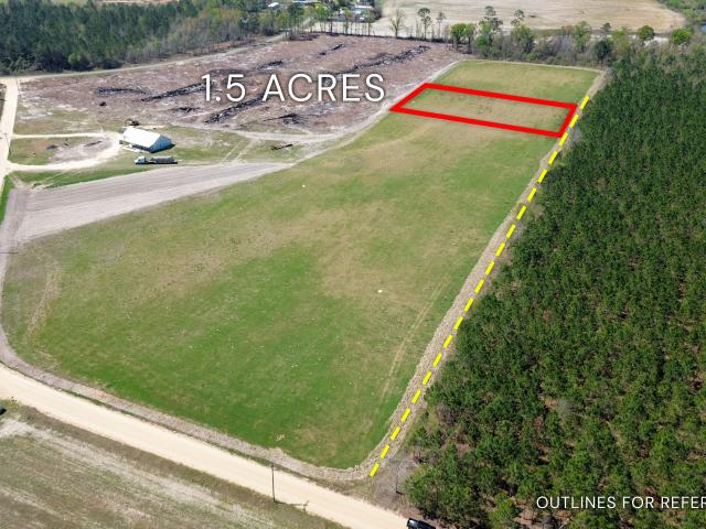 Land for sale in Alma, Georgia