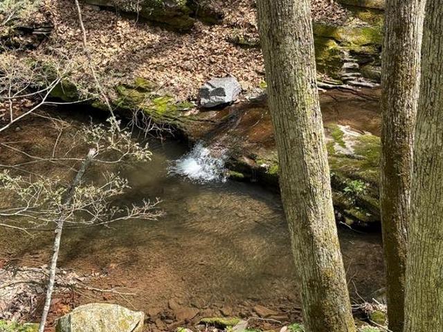 Land for sale in Seneca Rocks, West Virginia