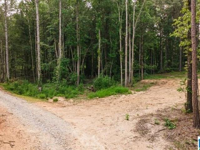 Land for sale in Wedowee, Randolph County