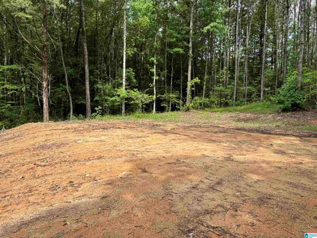 Land for sale in Wedowee, Alabama