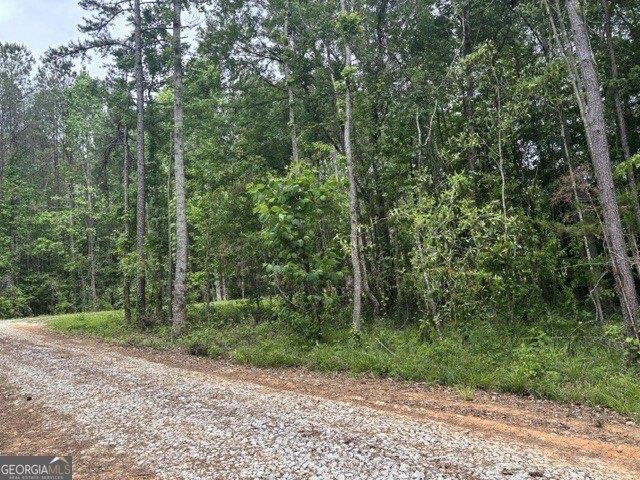 Land for sale in Wedowee, Alabama