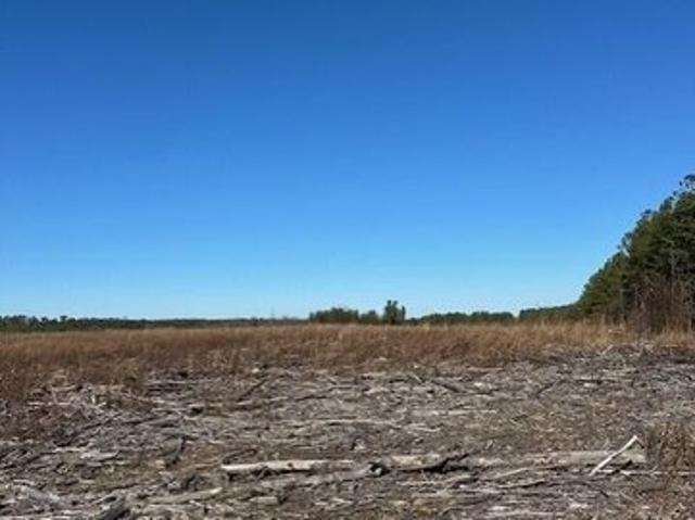 Land for sale in Tennessee