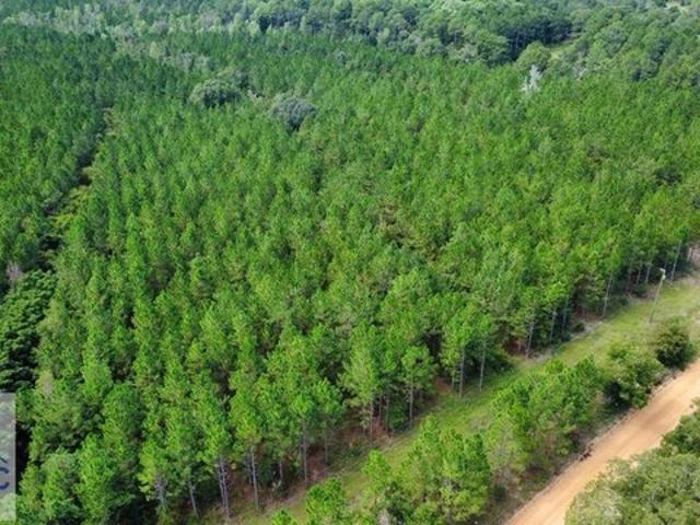 Land for sale in Fitzgerald, Georgia