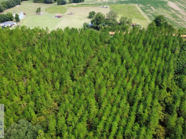 Land for sale in Fitzgerald, Georgia