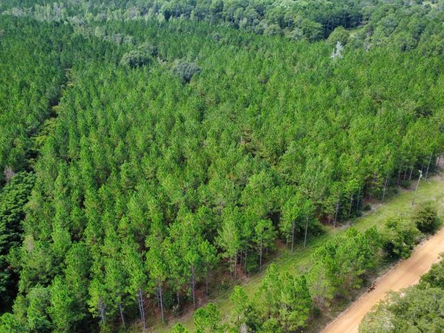 Land for sale in Fitzgerald, Georgia