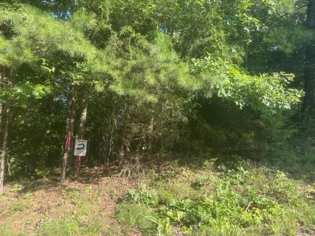 Land for sale in Tennessee