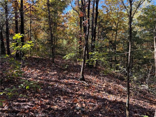 Land for sale in Heavener, Oklahoma