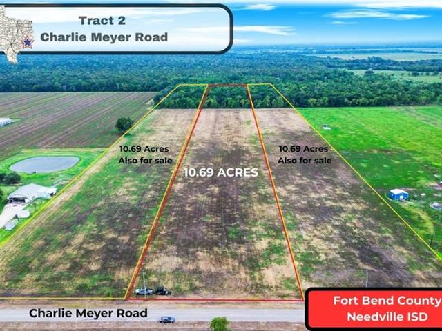 Land for sale in Damon, Texas