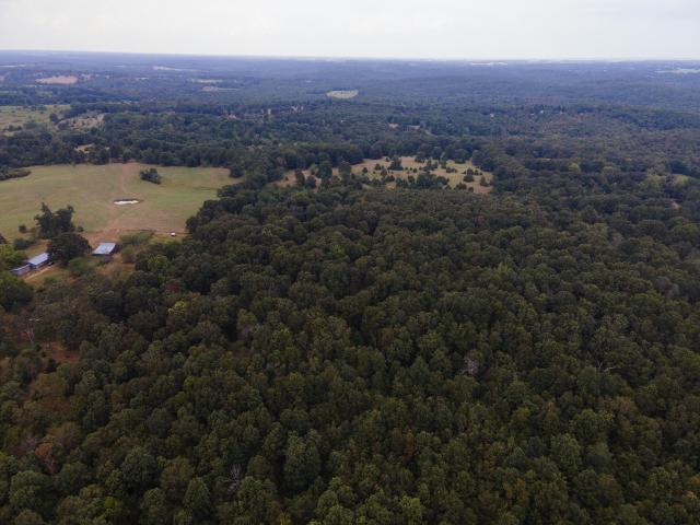 Land for sale in Koshkonong, Missouri