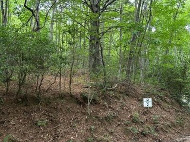 Land for sale in Franklin, North Carolina