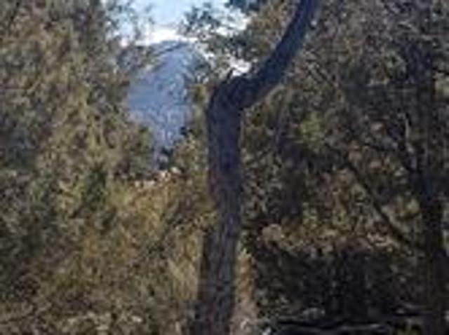 Land for sale in Alamosa, Colorado